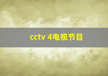 cctv 4电视节目